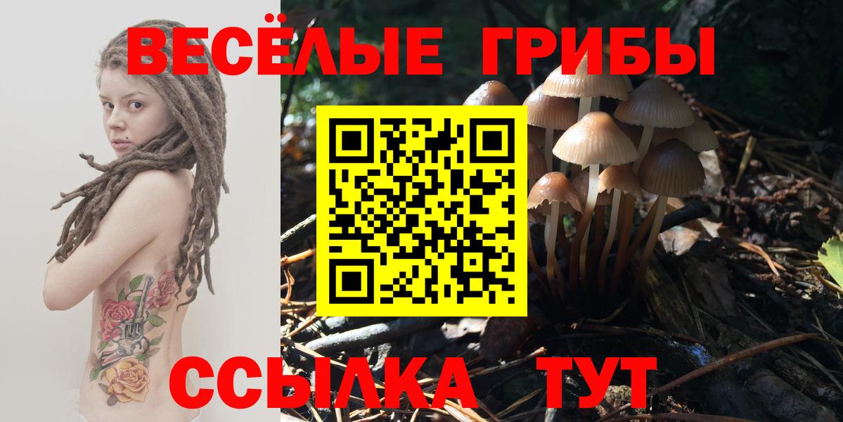 Псилоцибиновые грибы ЛСД  Вход с VPN  Грязи 