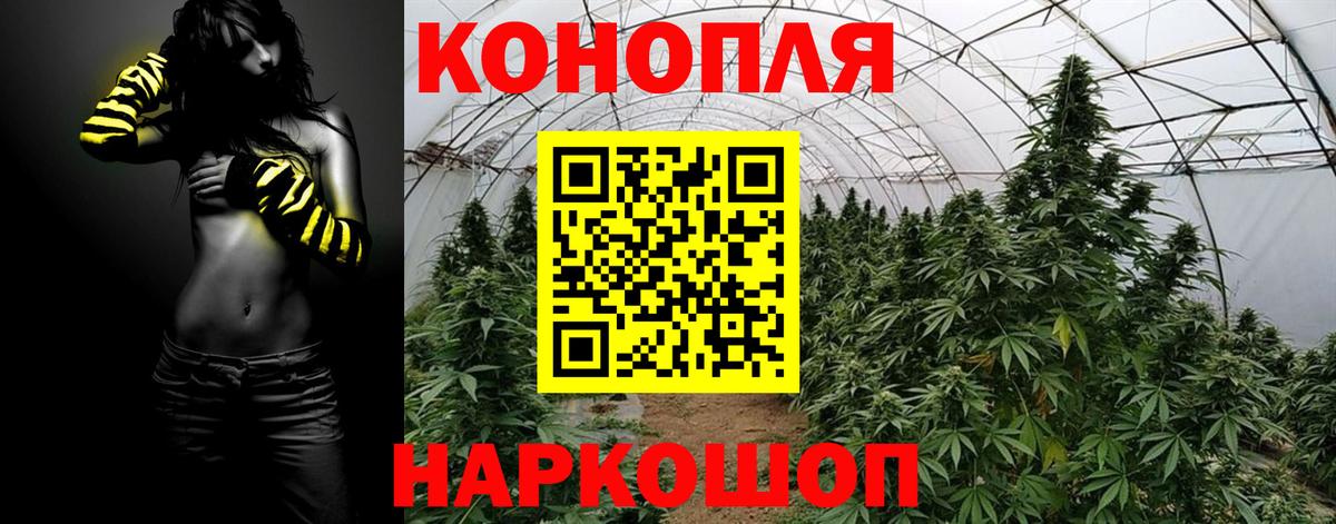 Грязи  МАРИХУАНА ГИДРОПОН  Марихуана план  Вход с VPN  Конопля White Widow 